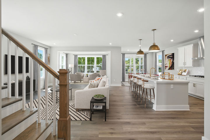 Gourmet Kitchen and Living Room