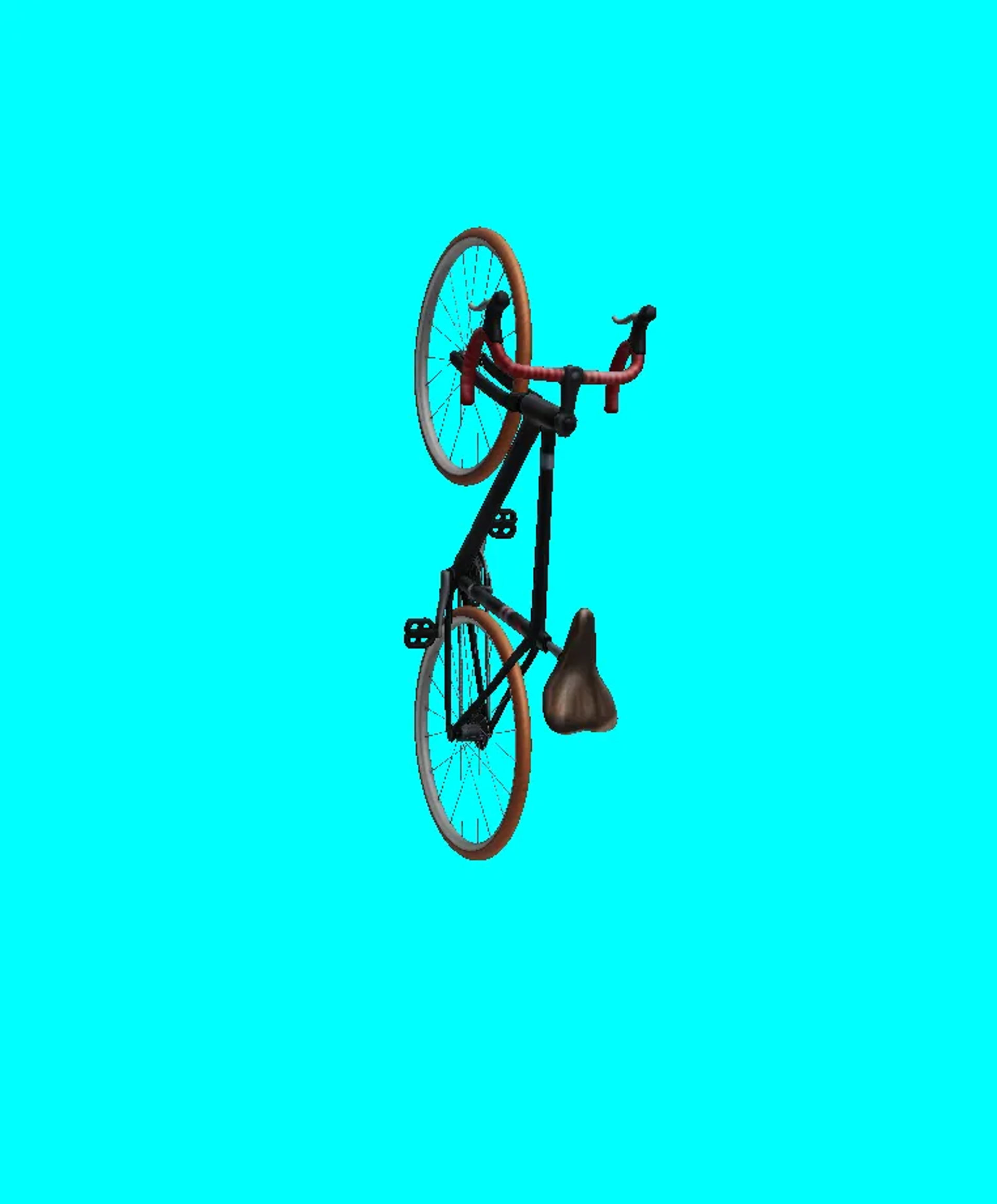 bicycle l2