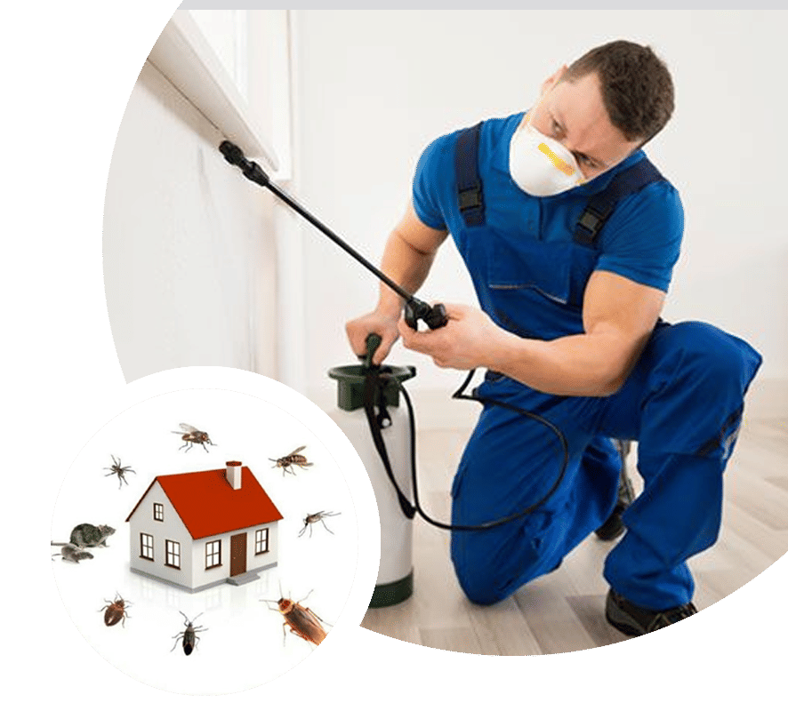FAQS about Pest Control Services in Grand Blanc, MI