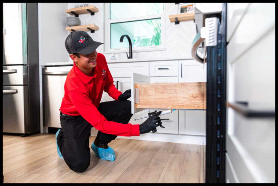 Best Pest Inspection Services in Pullman, MI