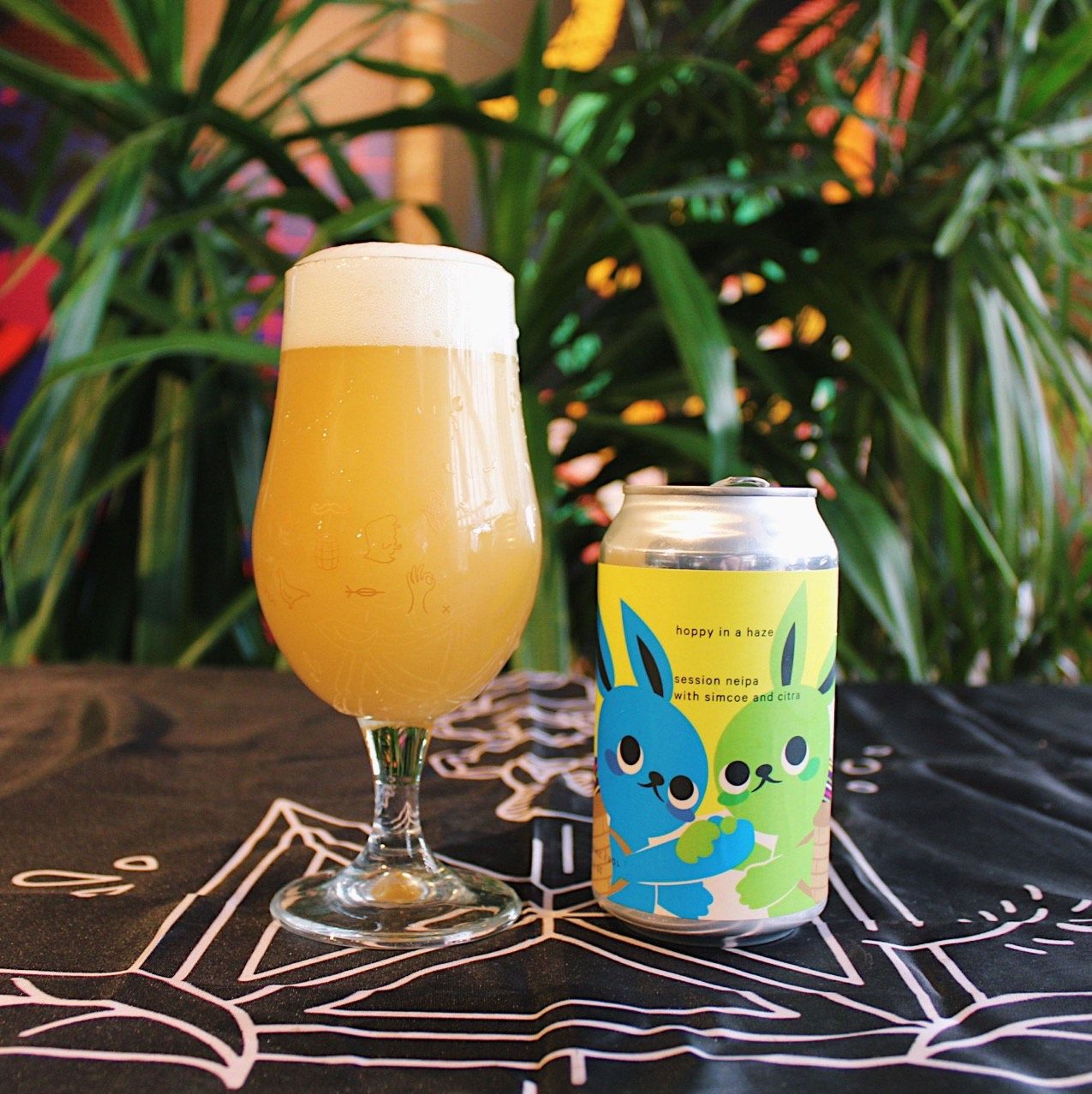 Hoppy in a Haze