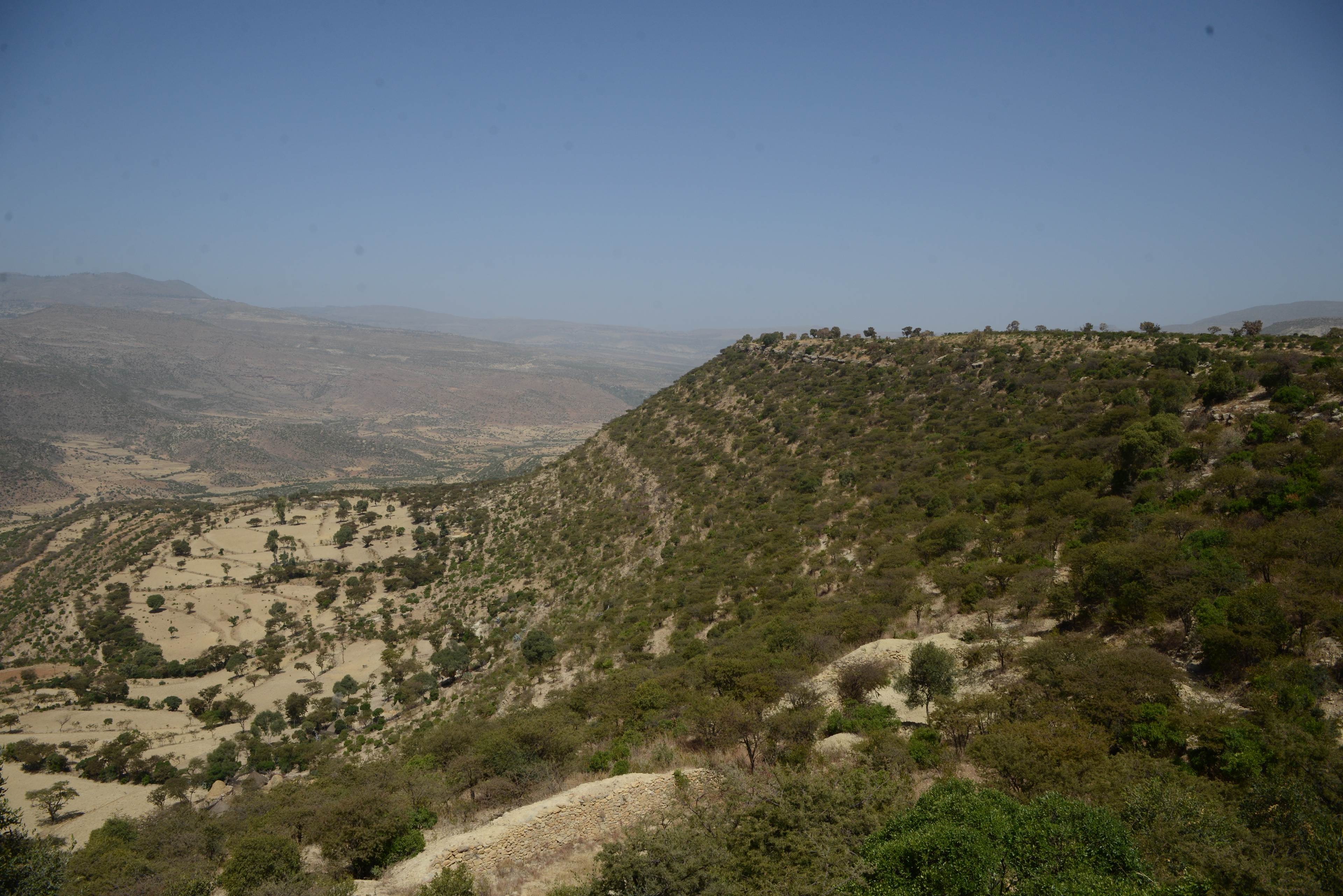 Gedmigestate, nestled on the steep slopes above the village, serves as an example of ecosystem resilience in the region when provided with targeted holistic restoration efforts. 