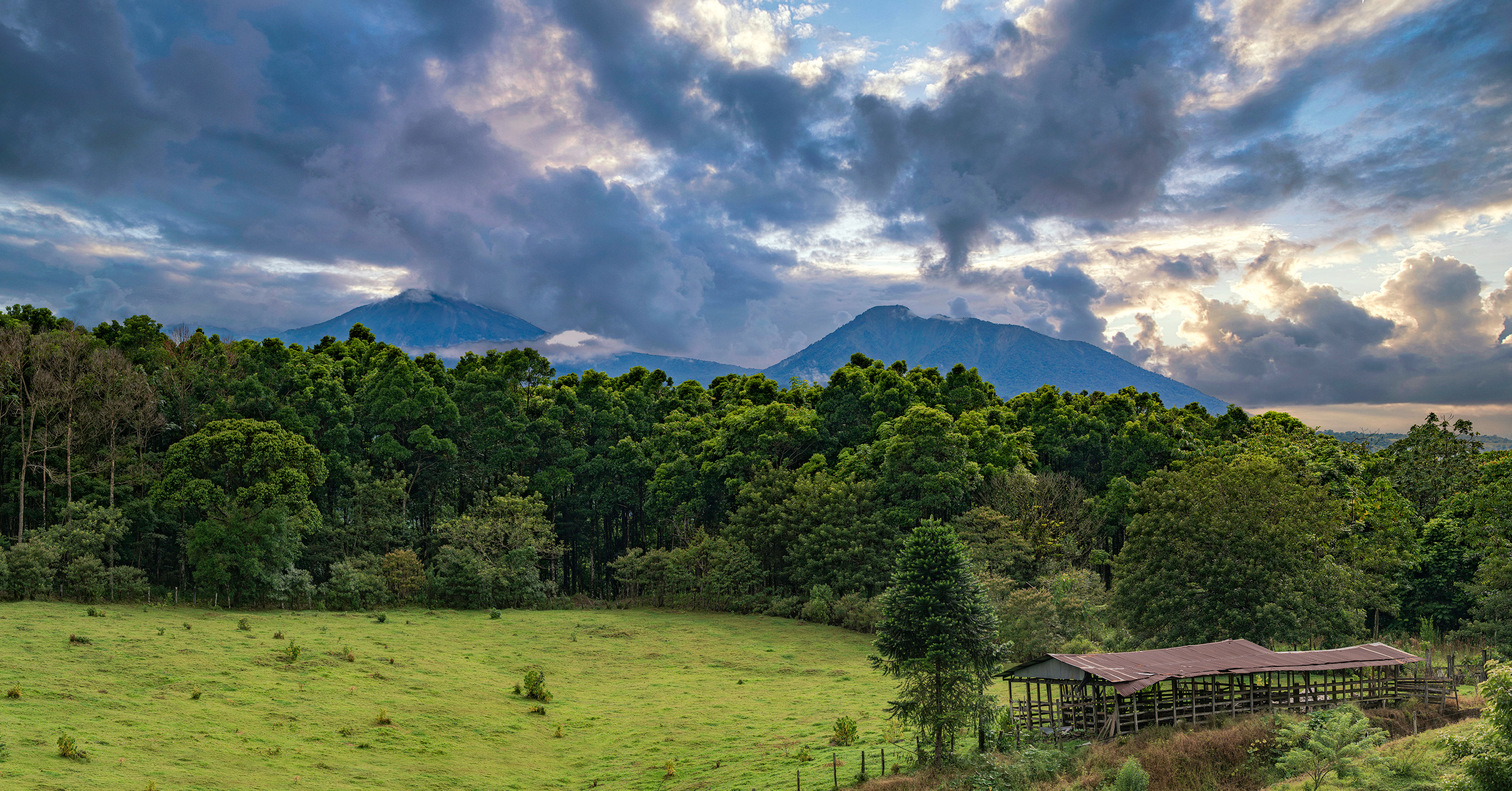 A panoramic view of one of the reforestation sites, Finca La Virgen. 