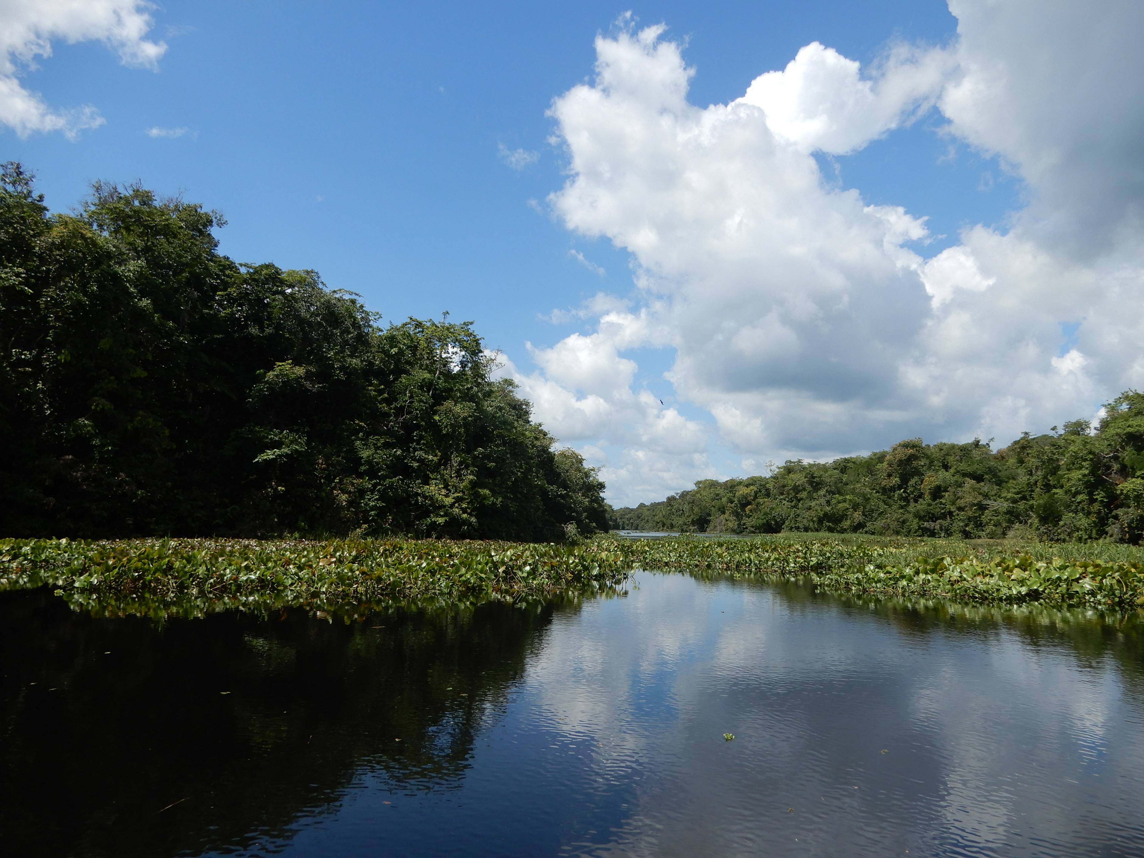 The Pacajá River is the main transport route for communities in the region.