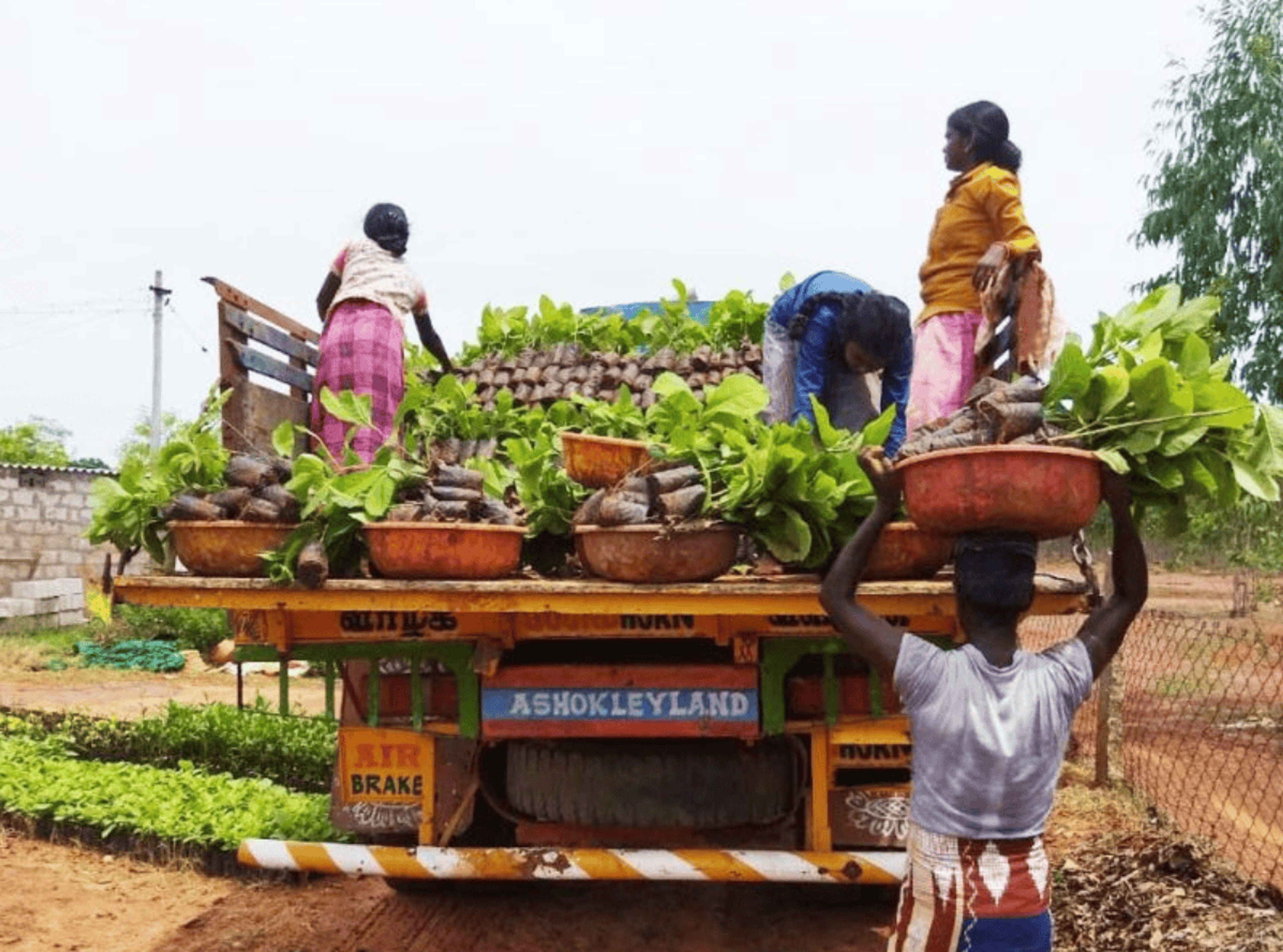 Zero Hunger image