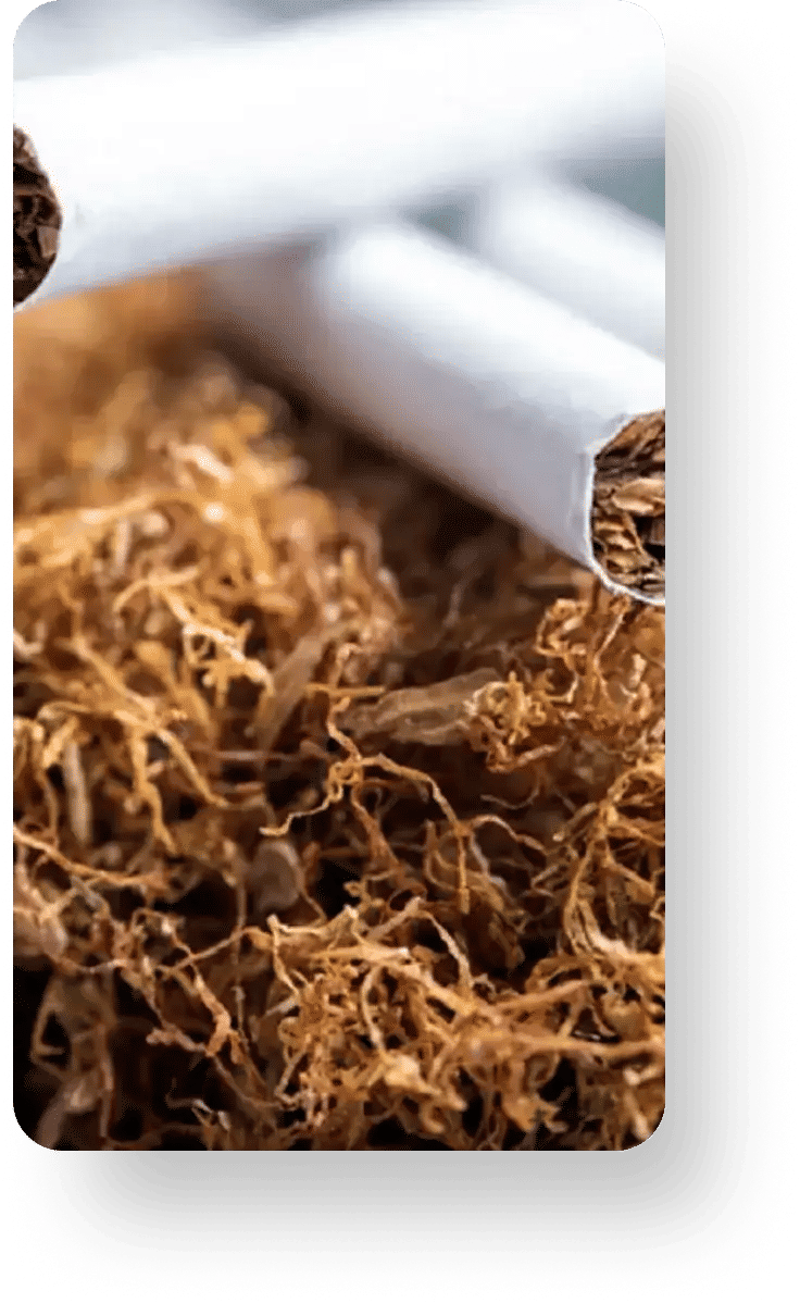 Pacific Cigarettes Corporate Premium tobacco leaves