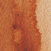 Burnt Sienna