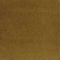 Raw Umber