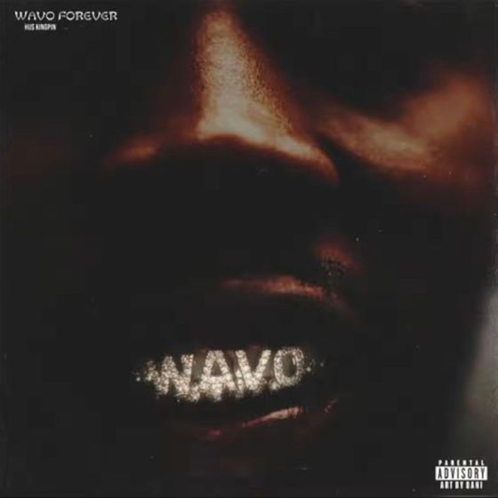 Hus Kingpin – Wavo Forever