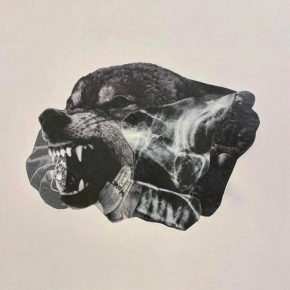 Snotty - Wolves Don't Wear Collars