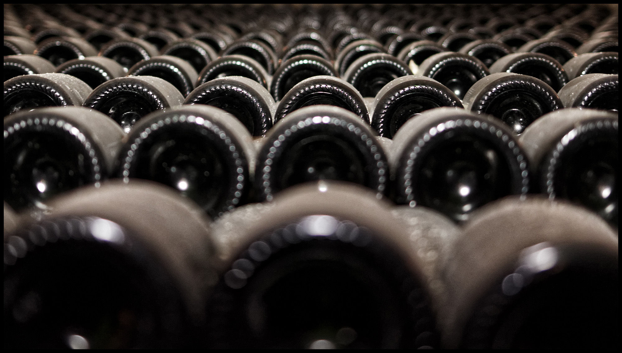 Cellars27