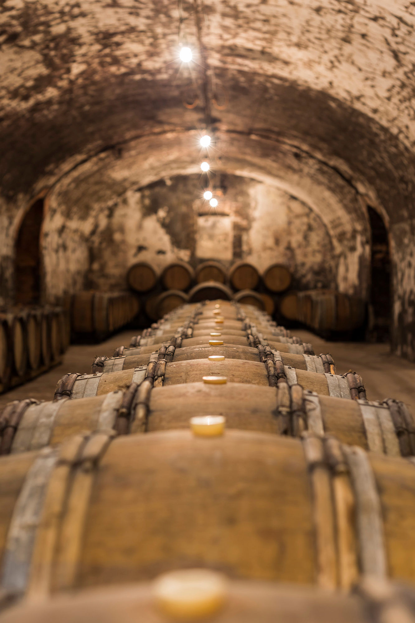Cellars45