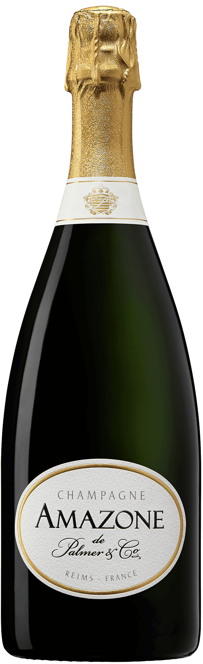 Amazone2