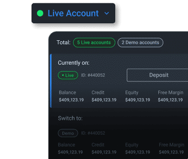 Multiple trading accounts