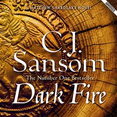 Book cover for 9780230531833