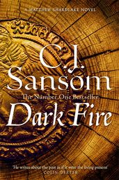 Book cover for Dark Fire