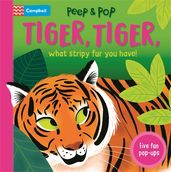Book cover for Tiger, Tiger, What Stripy Fur You Have!