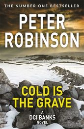 Book cover for Cold is the Grave