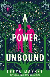 Book cover for A Power Unbound