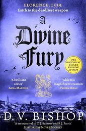 Book cover for A Divine Fury
