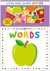 Book cover for Little Baby Learns: Words