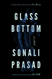 Book cover for Glass Bottom: A luminous climate fiction for fans of Amitav Ghosh and Richard Powers