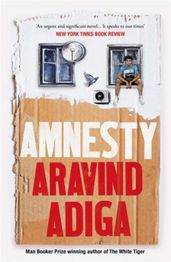 Book cover for Amnesty