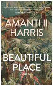 Book cover for Beautiful Place