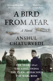 Book cover for A Bird from Afar