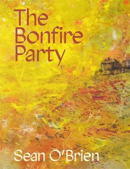 Book cover for The Bonfire Party