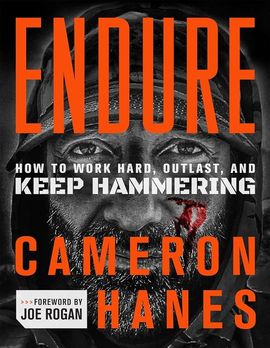 Book cover for Endure