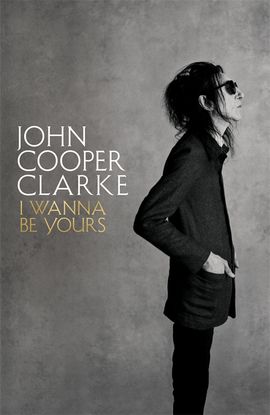 Book cover for I Wanna Be Yours