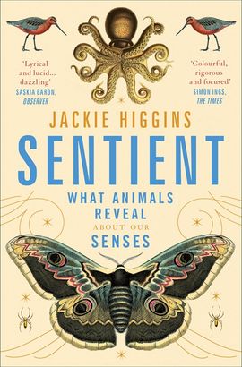 Book cover for Sentient