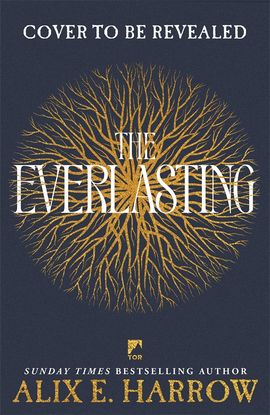 Book cover for The Everlasting