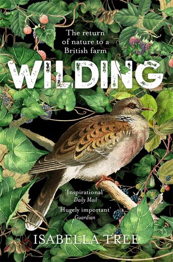 Return: A Journey Back to Living Wild eBook : Vilden, Lynx