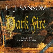 Book cover for Dark Fire