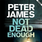 Book cover for Not Dead Enough