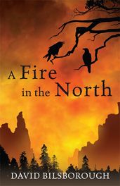 Book cover for Fire in the North