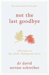 Book cover for Not the Last Goodbye