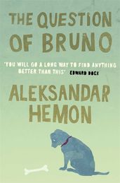 Book cover for The Question of Bruno