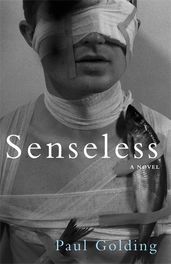 Book cover for Senseless