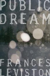 Book cover for Public Dream