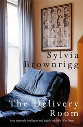 Book cover for The Delivery Room