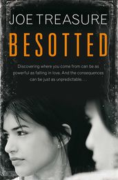 Book cover for Besotted