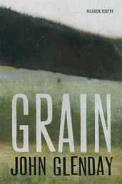 Book cover for Grain