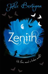 Book cover for Zenith