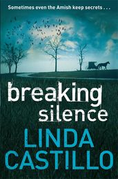 Book cover for Breaking Silence