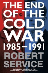 Book cover for The End of the Cold War