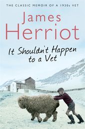 Book cover for It Shouldn't Happen to a Vet