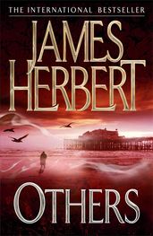 Book cover for Others